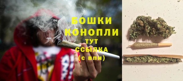 стафф Беломорск