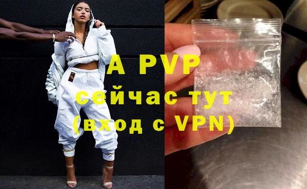 стафф Беломорск