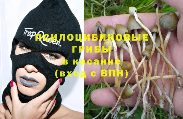 стафф Беломорск