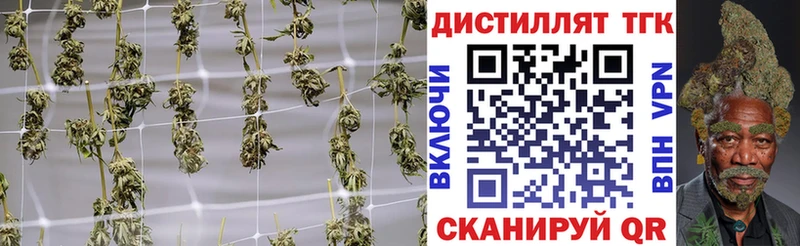 Купить закладки  Каргат  ТГК гашишное масло 