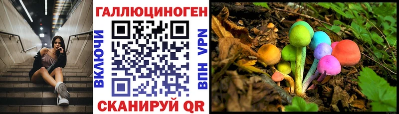 Галлюциногенные грибы Cubensis  Купить где  Каргат 