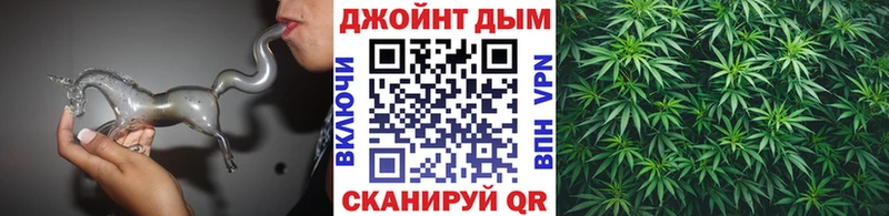 Купить закладки  Каргат  МАРИХУАНА тримм 